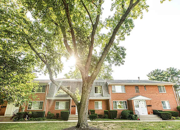 A tree stands in front of a red brick house.