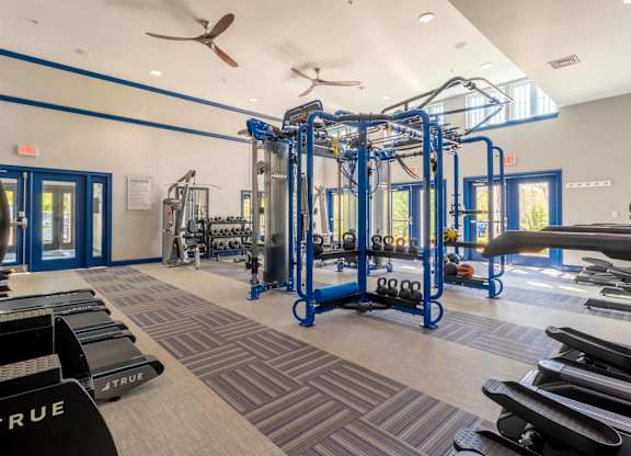 A gym with a variety of equipment including a squat rack, bench, and weights.