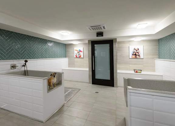 A dog is sitting in a white bathtub in a bathroom.