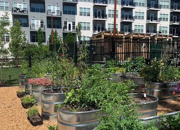A garden with plants in galvanized tubs in front of a building.