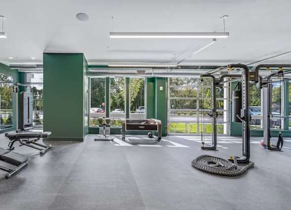 A gym with a variety of equipment including treadmills, weights, and a rope.