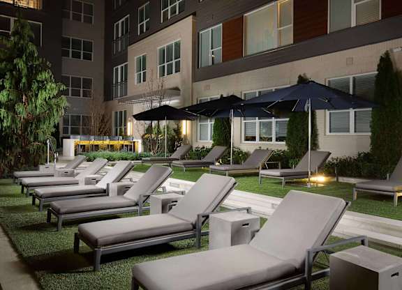 A row of lounge chairs are set up on a lawn.
