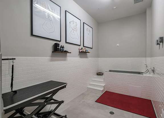 A bathroom with a bench, a red rug and three pictures on the wall.