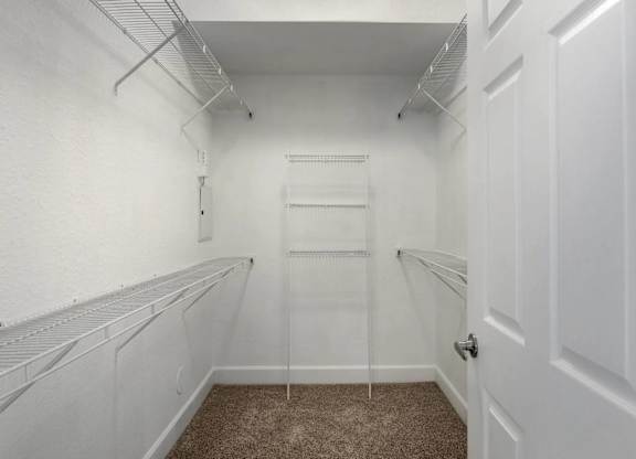 A white closet with a carpeted floor and a white door.