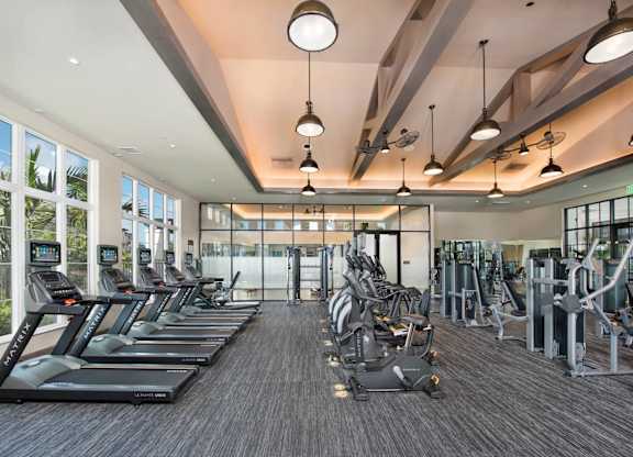 A gym with treadmills and elliptical machines.