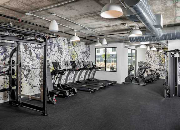 A gym with a row of treadmills and a wall with a leafy pattern.