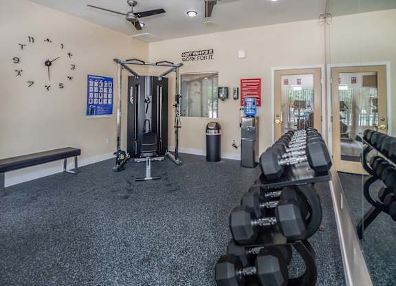 A gym with a row of dumbbells on the right and a bench on the left.