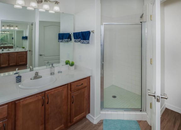 a bathroom with a shower and a sink and a mirror