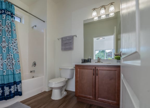 a bathroom with a toilet sink and shower and a mirror