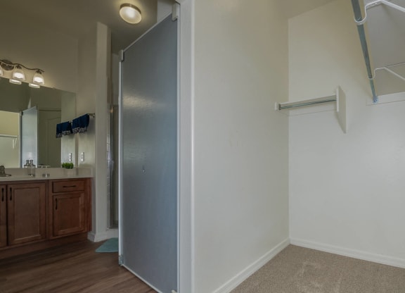 a bathroom with a shower and a sink and a mirror