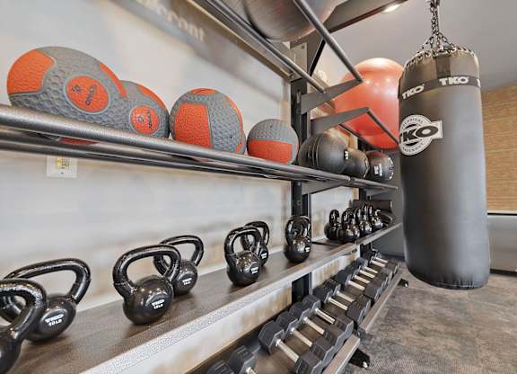 A gym with a punching bag, kettlebells, and dumbbells.