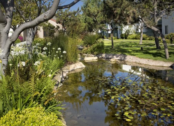 Lush Green Outdoors, at Pacific Oaks Apartments, Towbes, Goleta