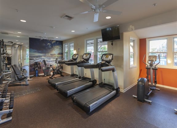 Apartments in Goleta, CA for Rent - Sumida Gardens - Fitness Center with Cardio Machines, Weights, Equipment, Large Mirror, Windows, Mounted TV, Orange Accent Wall, and Ceiling Fans