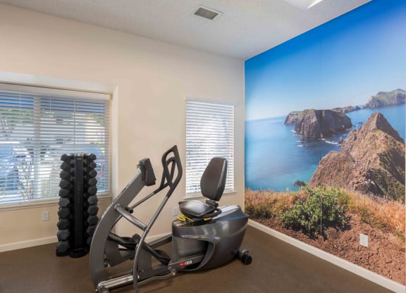 Ventura, CA, Apartments Near Walmart - Cypress Meadows - A Fitness Center With Recumbent Exercise Bike, Vertical Dumbbell Rack, And A Large Coastal Landscape Wall Mural.
