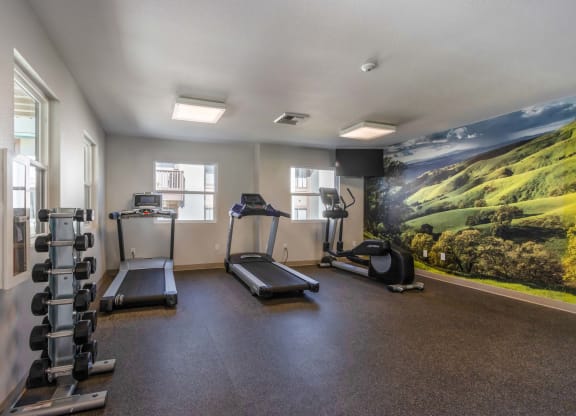 the gym at the preserve apartments
