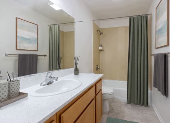 a bathroom with a sink and a toilet and a shower