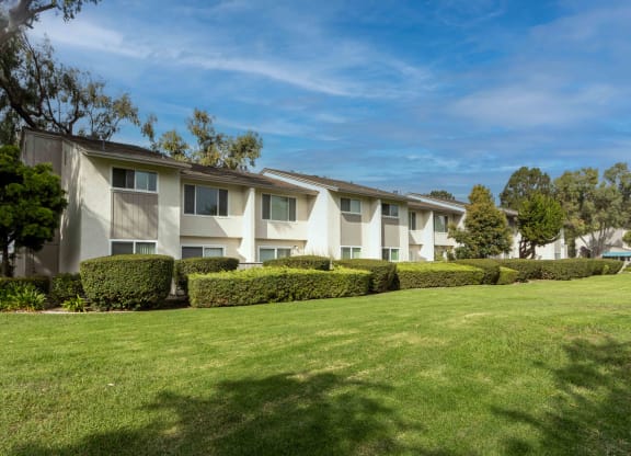 the apartments are located in a complex with a green lawn