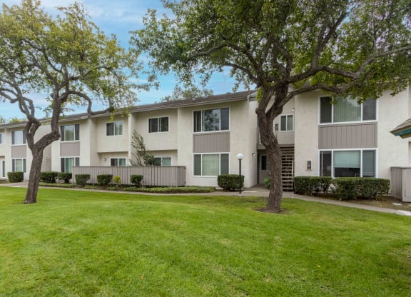 the outlook of an apartment building with a lawn and trees