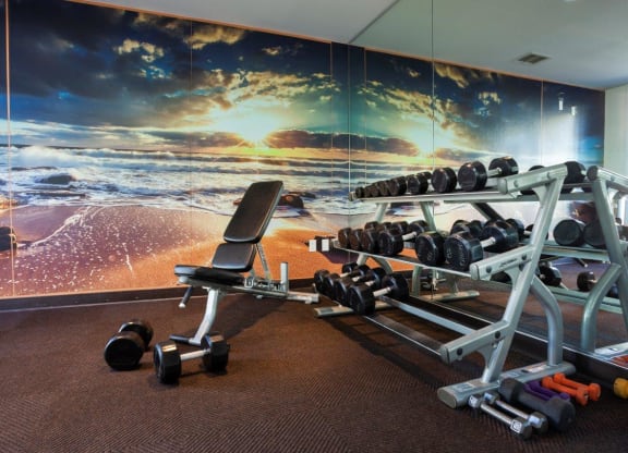 Goleta, CA, Apartments Near Target - Pacific Oaks - Fitness Center with Free Weights, Bench, and Mirror Wall.