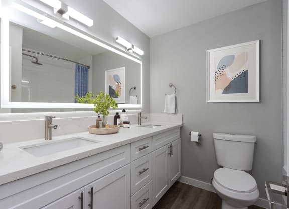 Apartments in Goleta, CA for Rent - Patterson Place - Bathroom with Wood-Style Flooring, Large Vanity Mirror, Double Sink, and Bright Overhead Lighting