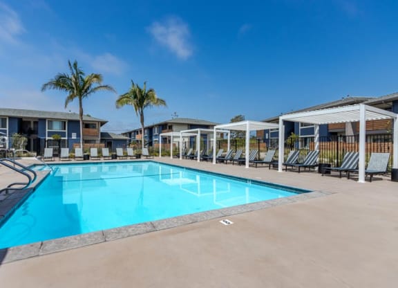 a swimming pool with palm trees in front of a building