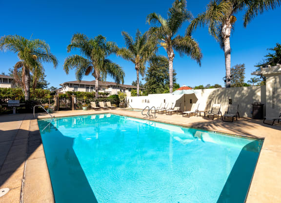 a swimming pool with palm trees in front of a house