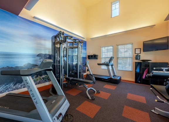 a gym with exercise equipment and a wall mural of the ocean