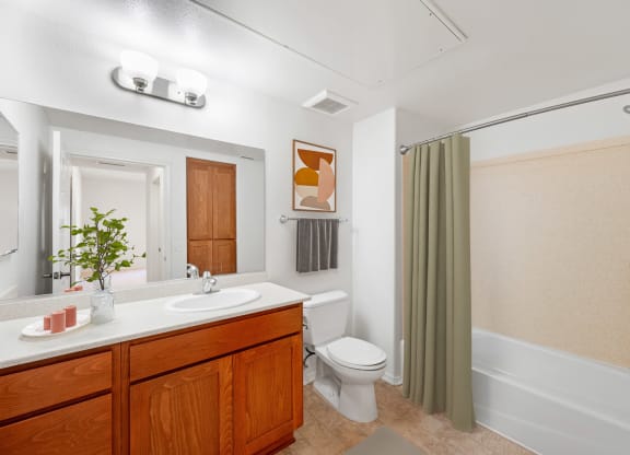 the preserve at ballantyne commons apartment bathroom