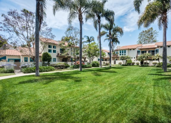 a large lawn with palm trees in front of a building