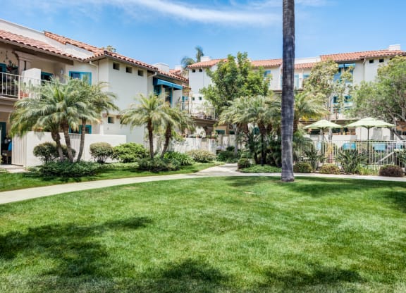 a grassy area with palm trees and buildings in the background