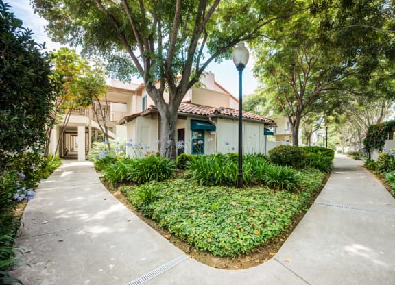 a house with a sidewalk and trees in front of it