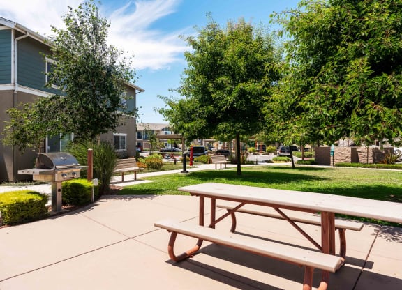 a picnic table and grill sit in the middle of a grassy area