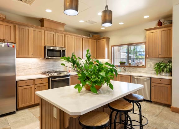 a kitchen with wooden cabinets and a large island with a potted plant