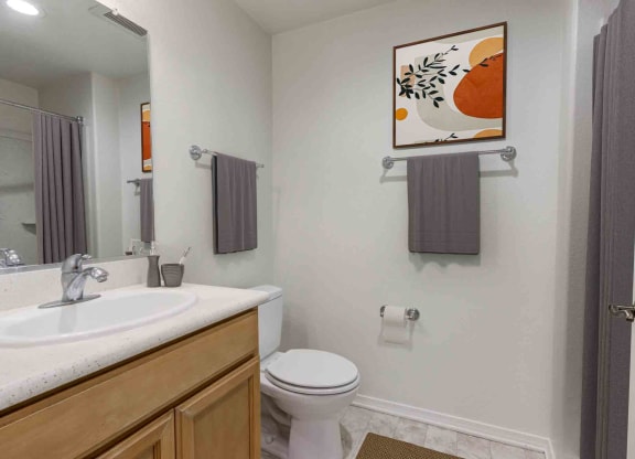 a bathroom with a sink toilet and a mirror