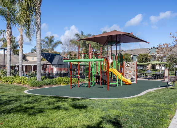 a playground with a jungle gym and swing set in a park