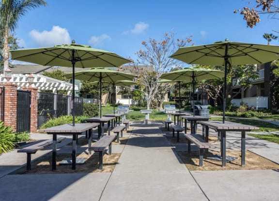 a row of picnic tables with umbrellas in a park