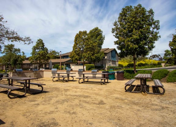 a community picnic area with benches and picnic tables