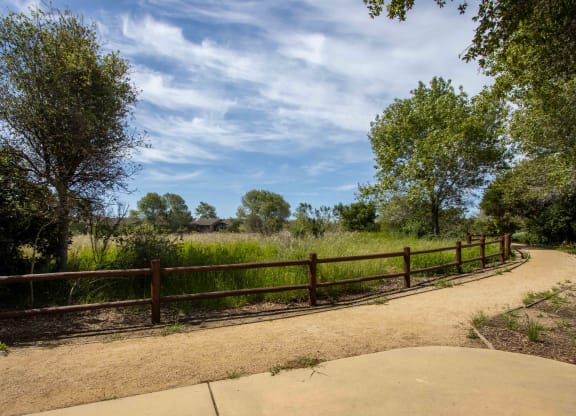 a path through a park with a fence