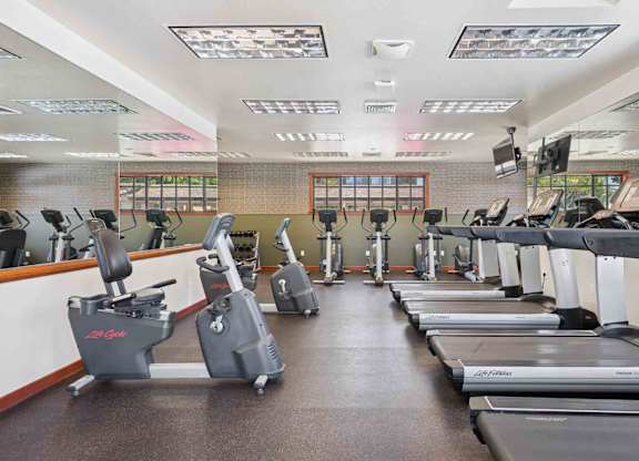 A gym with treadmills and elliptical machines.