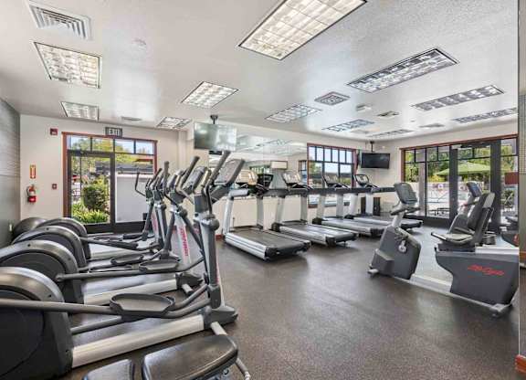 A gym with treadmills and elliptical machines.