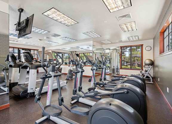 A gym with treadmills, elliptical machines, and a television.