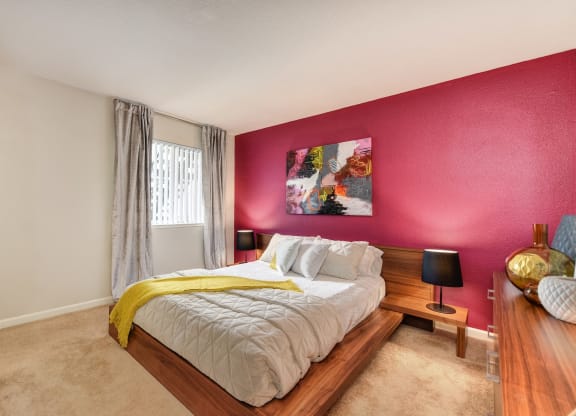 Bedroom with burgandy accent wall behind the headboard. Nightstand and dresser and window with curtains at Addison Ranch Apartments, Petaluma, California