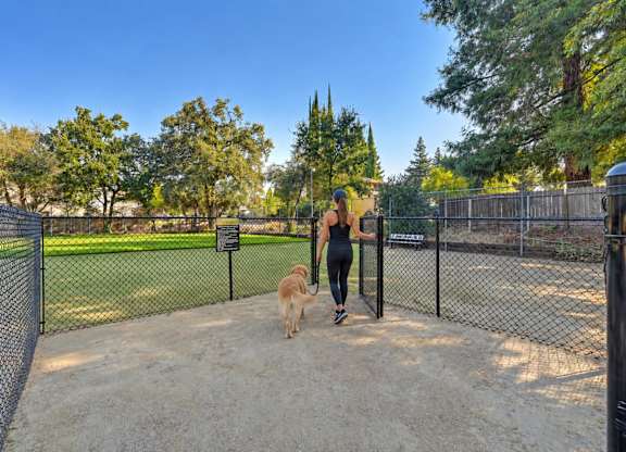 A woman is walking her dog in a fenced area with trees in the background.