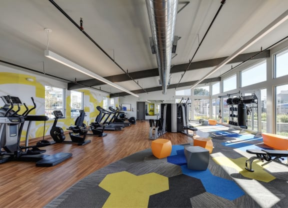 Gym with Hardwood Floor, Treadmills, Excercise Bike, Weight Machines, Full Windows with View of Exterior at Addison Ranch Apartments, Petaluma