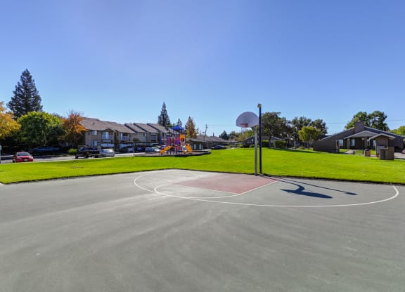 a basketball court in a park with houses in the background
