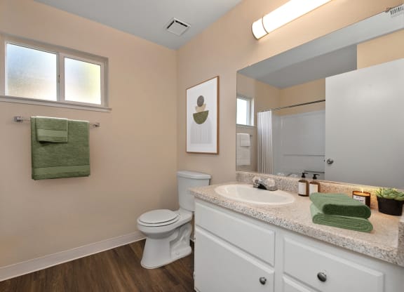 a bathroom with a sink and a toilet and a mirror
