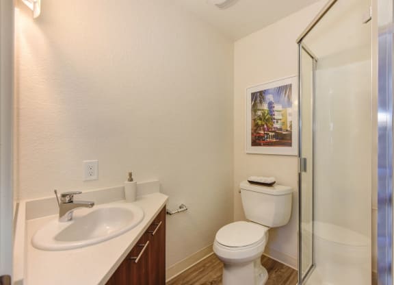 Bathroom with Shower at Canyon Terrace Apartments, California, 95630