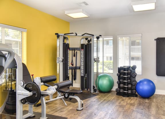 Renaissance Park on-site fitness center with free weights and weight machine at Renaissance Park Apartments, Davis