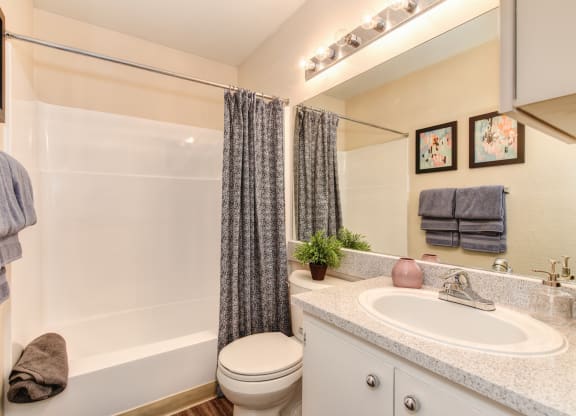 Model home bathroom with a shower toilet and sink at Renaissance Park Apartments, California