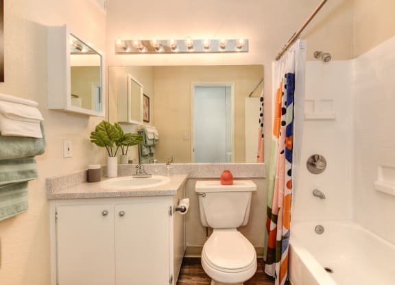 Model home bathroom with a sink toilet and bathtub at Renaissance Park Apartments, California, 95618